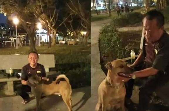 家长牵双胞胎散步遇男子牵俩狗，街头那点事，咋就成了大讨论？